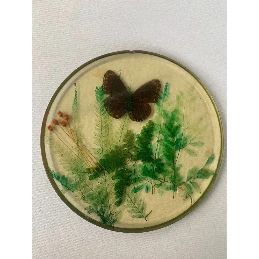 Vintage 60s Acrylic Lucite Butterfly Moth  Dried Flowers Fern Trivet Hot Pad MCM